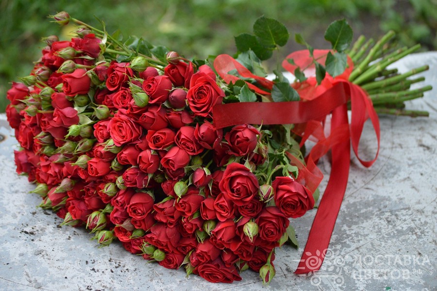 Букет Красная кустовая роза